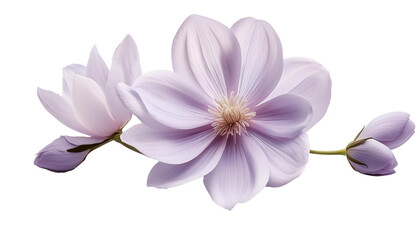 Purple flower, Generated image