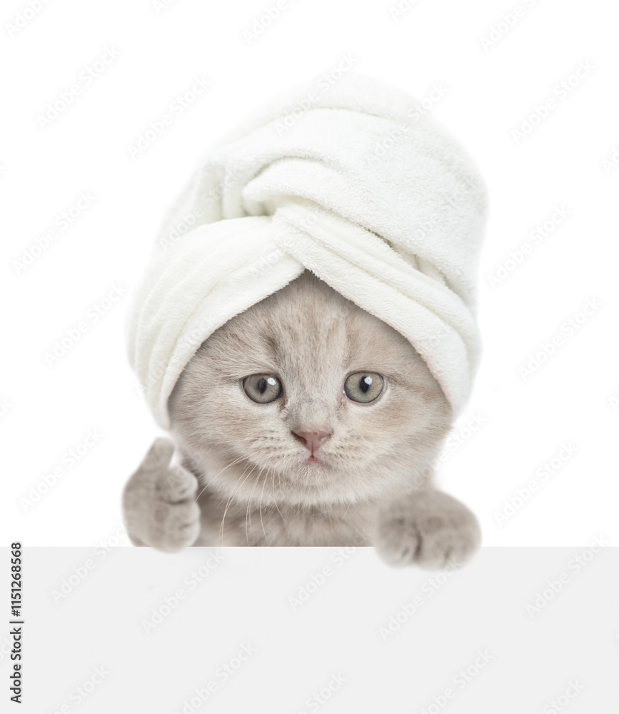 Poster cute tiny kitten with towel on it head looks above blank white banner and shows thumbs up gesture. i