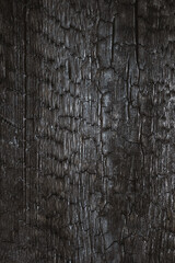 burned wood texture