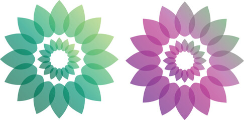 Fototapeta premium Beautiful Lotus Flower Color Wheel. Modern Abstract background template with colorful soft flower shapes and wave gradient elements for business and beauty with beautiful overlap effect.