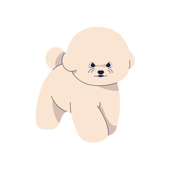 Bichon Frise puppy. Cute fluffy canine animal, little toy dog with amusing emotion. Adorable kawaii companion pet, pup, miniature doggy breed. Flat vector illustration isolated on white background