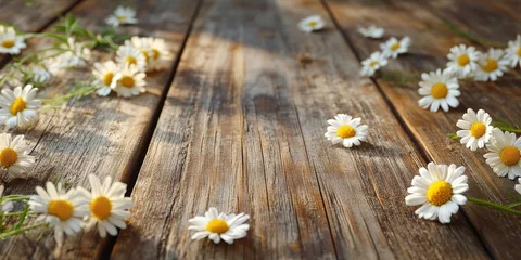 Fototapete Krankenhaus Chamomile blossoms on a wooden surface are ideal for aromatic therapy, natural skincare, and holistic healing, enhancing wellness with their soothing properties.  © Mehemmed