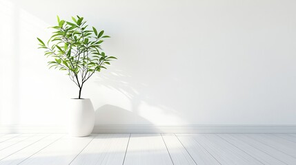 Obraz premium Bright Modern Interior with Minimalist Green Plant in Pot