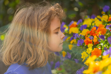 Naklejka premium Cute blonde kid boy in spring garden. Little child under a blossom tree. Kid smelling blossom viola flowers. Kid with flower on Easter. Adorable kid in blooming cherry garden on spring day.