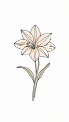 Naklejka premium A beautiful vector art illustration of Alstroemerias flowers, showcasing their elegant petals and vibrant colors. Created with generative AI.