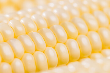 Fresh raw corn cob texture close up