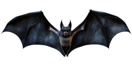 Bat in Flight: A detailed, dramatic close-up of a bat with wings outstretched, in a dynamic pose. Perfect for Halloween, gothic, or nature-themed projects.