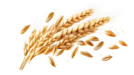 Golden Wheat Ears: A close-up of golden wheat ears, with grains scattering in the air, evokes a sense of harvest, abundance, and nature's bounty.  