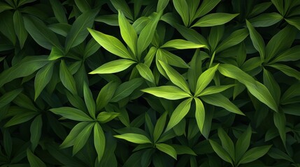 Lush Green Leaves Texture in Natural Light with Soft Shadows