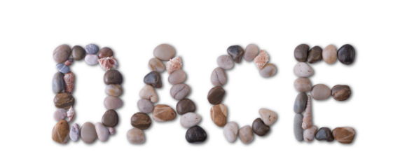 The word "DACE" is lined with shells and stones of different shapes and colors on a transparent background. Types of fish and seafood, price tag, sea food, fish market, sea alphabet.