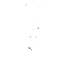 Tonga high detailed vector representation of country silhouette in solid black on white background. For educational, decorative, or informational use showcasing the national outline.