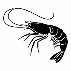 illustration of a shrimp