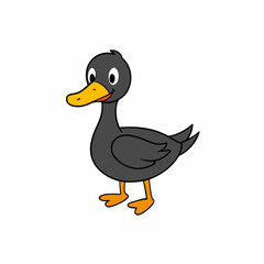 duck