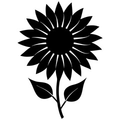 sunflower isolated on white background