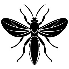 black and white shield