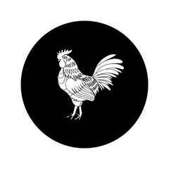 rooster icon design vectors illustration