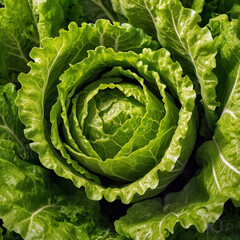 A Stunning Close-Up of Fresh Green Lettuce Highlighting Vibrant Colors, Textural Details, and Veined