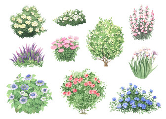 Watercolor set of hand drawn garden flowering bushes. Colorful green isolated collection for your design.