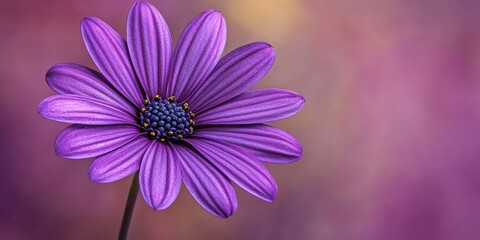 Obraz premium Vibrant purple flower set against a natural color background, showcasing the beauty of the purple flower s delicate details and unique charm in a serene composition.