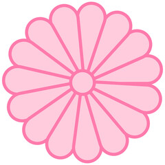 ピンクの菊の花