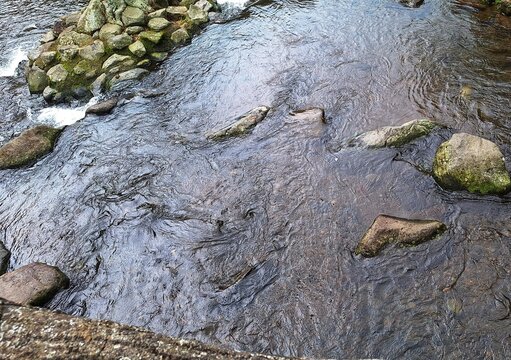 "Serene river flowing over smooth stones, capturing the tranquil beauty of nature - Powered by Adobe