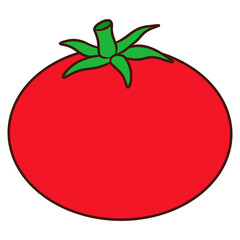 illustration of tomato vegetable