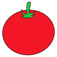 red tomato vegetable illustration