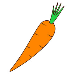illustration of a carrot