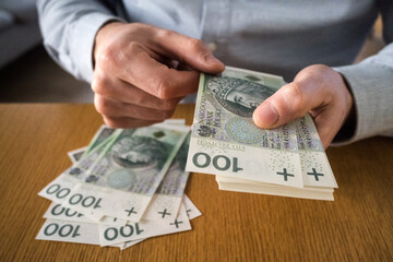 A person counting Polish money. Business and savings.
