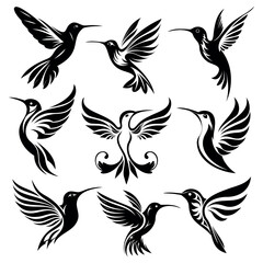 Obraz premium hummingbird icon set on white background