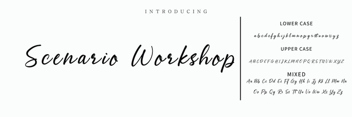 Hand drawn vector alphabet. Modern monoline signature script font. Elegant Signature Font. Best Alphabet Beautiful Calligraphy Signature Font lettering