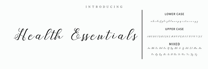Hand drawn vector alphabet. Modern monoline signature script font. Elegant Signature Font. Best Alphabet Beautiful Calligraphy Signature Font lettering