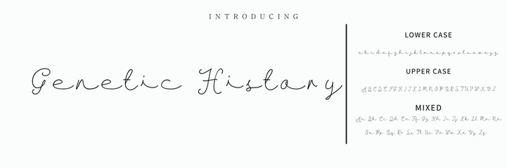 Hand drawn vector alphabet. Modern monoline signature script font. Elegant Signature Font. Best Alphabet Beautiful Calligraphy Signature Font lettering