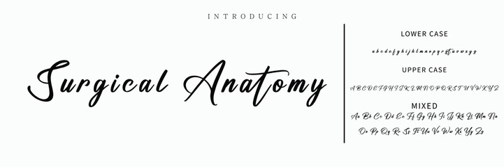 Hand drawn vector alphabet. Modern monoline signature script font. Elegant Signature Font. Best Alphabet Beautiful Calligraphy Signature Font lettering