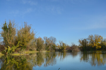Fototapeta premium A serene autumn scene in the protected landscape and ornithological reserve Savica in Zagreb, with trees in autumn colors reflecting in the calm water under a clear blue sky