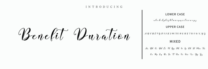 Hand drawn vector alphabet. Modern monoline signature script font. Elegant Signature Font. Best Alphabet Beautiful Calligraphy Signature Font lettering