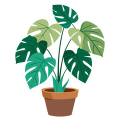 Philodendron plant with lush green leaves in a brown pot on a clean white background