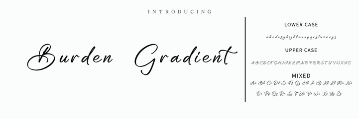 Hand drawn vector alphabet. Modern monoline signature script font. Elegant Signature Font. Best Alphabet Beautiful Calligraphy Signature Font lettering