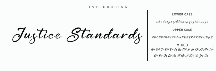 Hand drawn vector alphabet. Modern monoline signature script font. Elegant Signature Font. Best Alphabet Beautiful Calligraphy Signature Font lettering