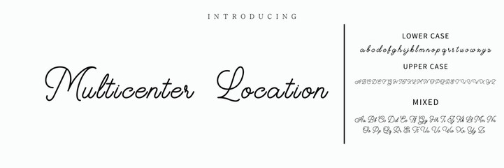 Hand drawn vector alphabet. Modern monoline signature script font. Elegant Signature Font. Best Alphabet Beautiful Calligraphy Signature Font lettering