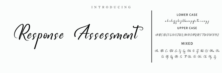 Hand drawn vector alphabet. Modern monoline signature script font. Elegant Signature Font. Best Alphabet Beautiful Calligraphy Signature Font lettering