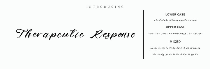 Hand drawn vector alphabet. Modern monoline signature script font. Elegant Signature Font. Best Alphabet Beautiful Calligraphy Signature Font lettering