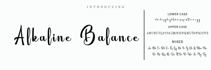 Hand drawn vector alphabet. Modern monoline signature script font. Elegant Signature Font. Best Alphabet Beautiful Calligraphy Signature Font lettering