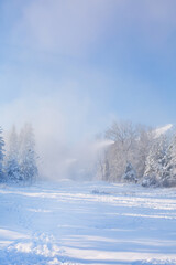 Winter forest, wooden fence, mountain peaks