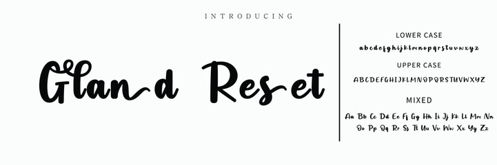 signature Font Calligraphy Logotype Script Brush Font Type Font lettering handwritten