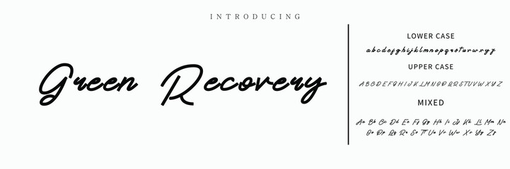 signature Font Calligraphy Logotype Script Brush Font Type Font lettering handwritten