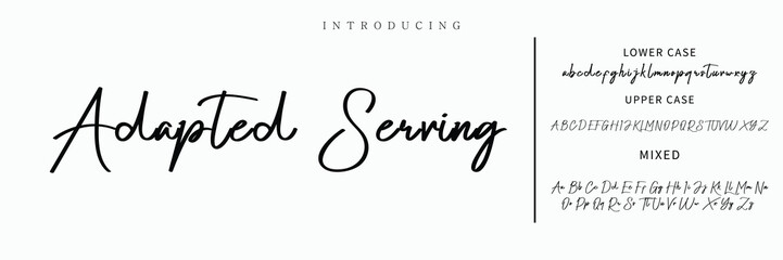 signature Font Calligraphy Logotype Script Brush Font Type Font lettering handwritten