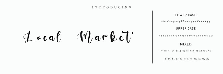 signature Font Calligraphy Logotype Script Brush Font Type Font lettering handwritten