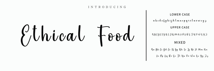 signature Font Calligraphy Logotype Script Brush Font Type Font lettering handwritten