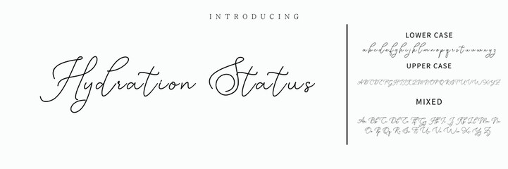 signature Font Calligraphy Logotype Script Brush Font Type Font lettering handwritten